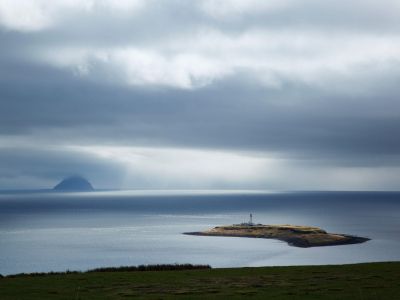 pladda