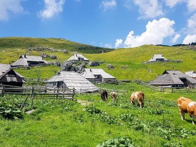velika-planina-g7609dafe8_1920.jpg