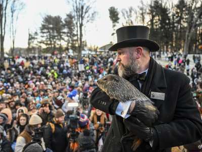 Punxsutawney phil.jpg