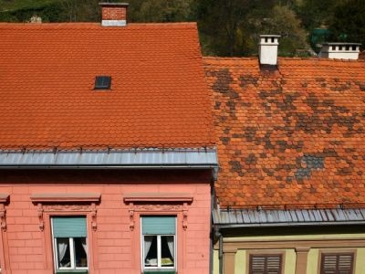 1659029362_cg_ptuj_nepremicnine.jpg