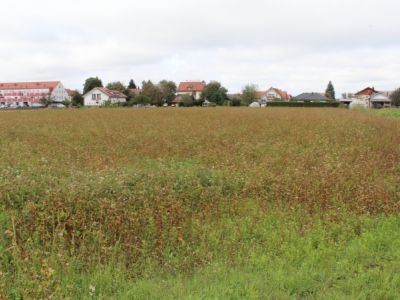 1664802525_mz_markovci.jpg