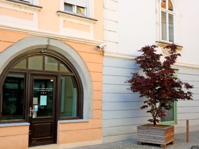 1654779062_cg_ptuj_izginjajo_znamke.jpg
