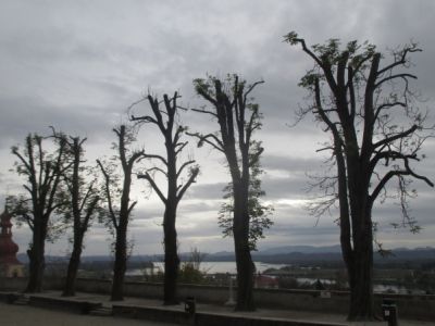 1479399823_em-kostanji_3.jpg