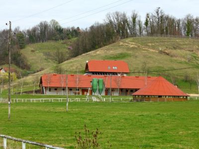 1721049704_cg_ranc_vuk.jpg