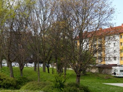 1678980055_cg_neprofitna_ptuj.jpg