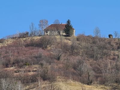 1647869432_mv-podlehnik_1.jpg