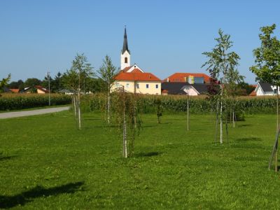 1696847093_cg_dom_markovci.jpg