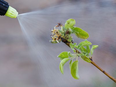 biodinamika naslovna-apr25.jpg