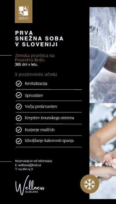 Snežna soba