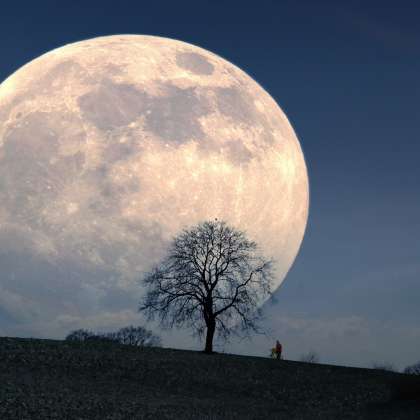 polna luna