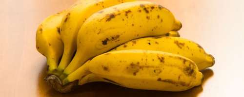Banane s črnimi pegami so bolj zdrave