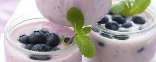Jogurtov napitek z borovnicami in aloje vero
