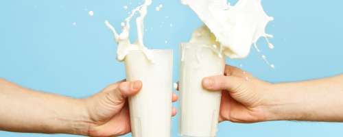 Neprijetna novica za vse ženske, ki popijete 3 kozarce mleka na dan