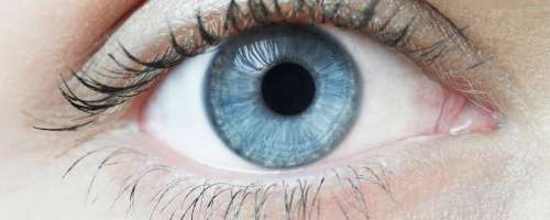Osem nasvetov za oster vid in zdrave oči