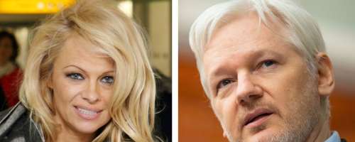 Ne boste verjeli, katera lepotica razvaja ustanovitelja Wikileaksa!