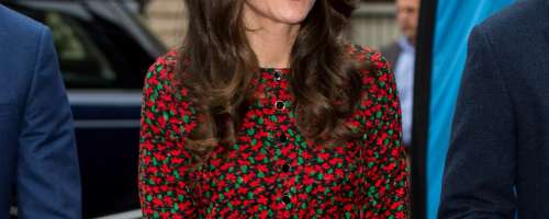 FOTO: Kate Middleton to leto ni naredila nobene napake