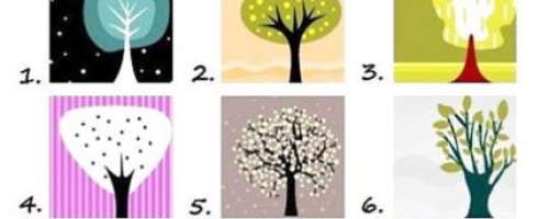 Test: Katero drevo vas najbolj privlači?
