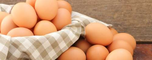 Kaj moramo vedeti o jajcih?