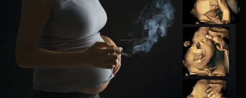 To se dogaja v maternici ženske, ki med nosečnostjo kadi!