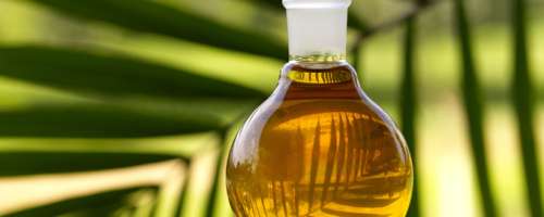 IzdelkI s PalmovIm oljem niso ne zdrava ne trajnostna izbira