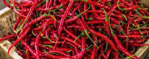 Ste sploh vedeli, kako učinkuje pekoča paprika?