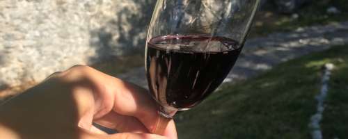 4 zanimiva dejstva o rdečem vinu