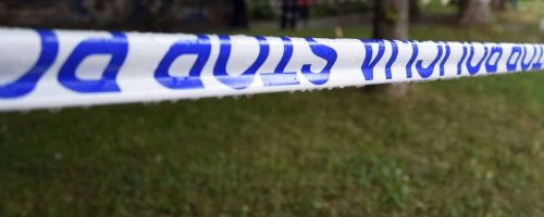 policija, trak bobo
