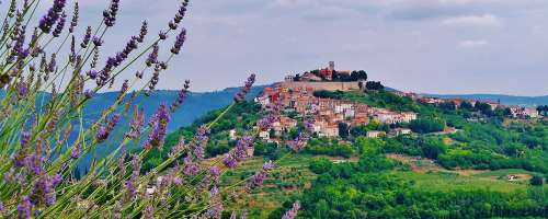 Po mir in zdravje v objem zelene Istre