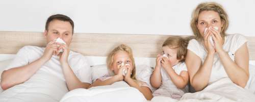 Letos kroži veliko število različnih virusov gripe