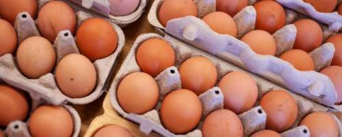 Jajca iz večjih trgovin na ZPS testu - kakšni so rezultati?