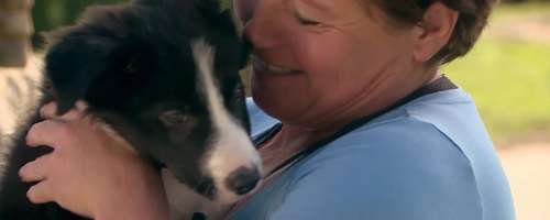 Darji zastrupili psička, ki so ji ga podarili v šovu Ljubezen po domače