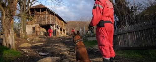 V iskanje trupla male Danke vključili znanega reševalnega psa Zigija, ki se je šolal tudi v Sloveniji