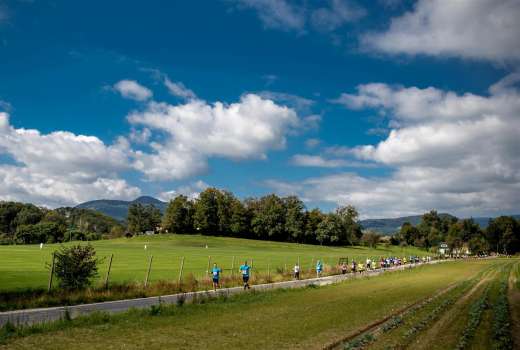 Trasa Konjiškega maratona