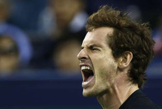 andy murray