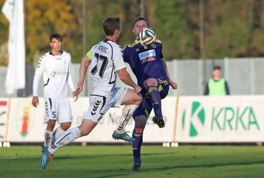 kastrevec vrsic dw