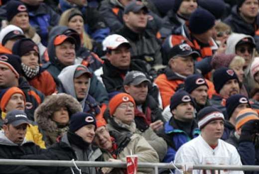bears vszi