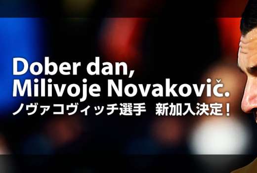 milivoje novakovic