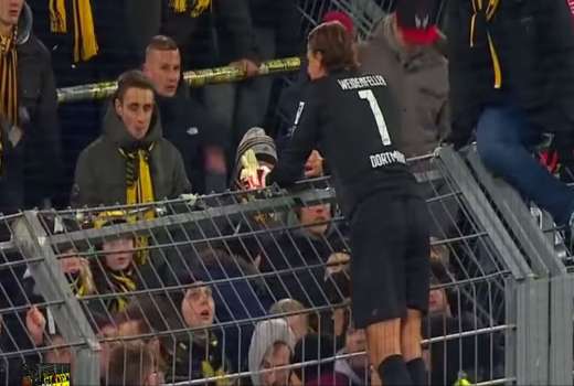 weidenfeller vszi