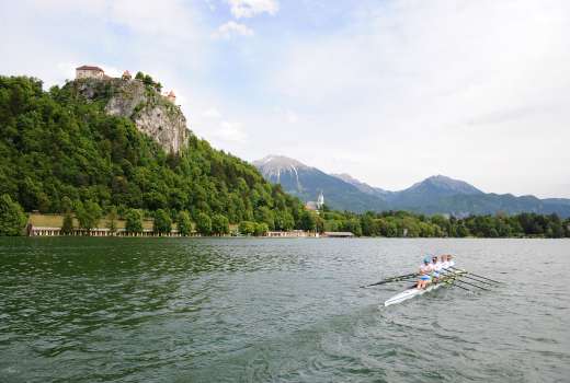 veslaci bled