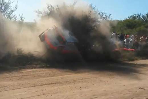 paddon