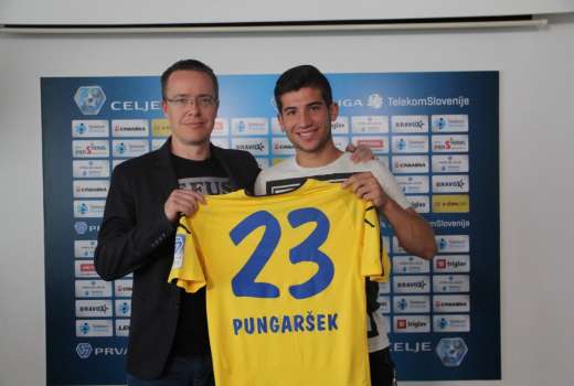 pungarsek
