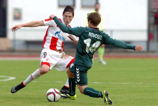 crvena zvezda krka