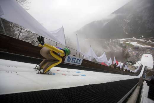 planica bobo 5