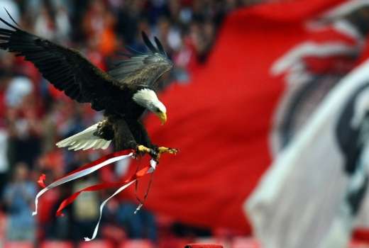 orel benfica