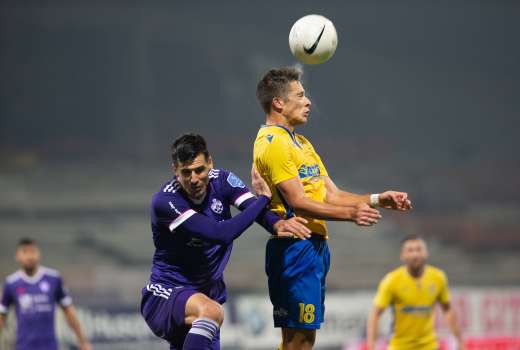 mitrovic palcic gw