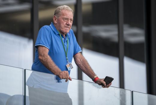 milan mandaric