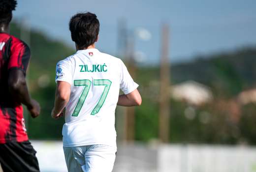 ziljkic