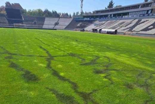 stadion partizan