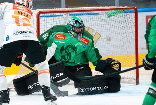 hokej olimpija horak 24 dj