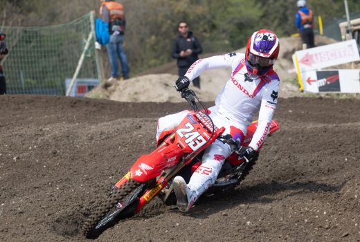 gajser